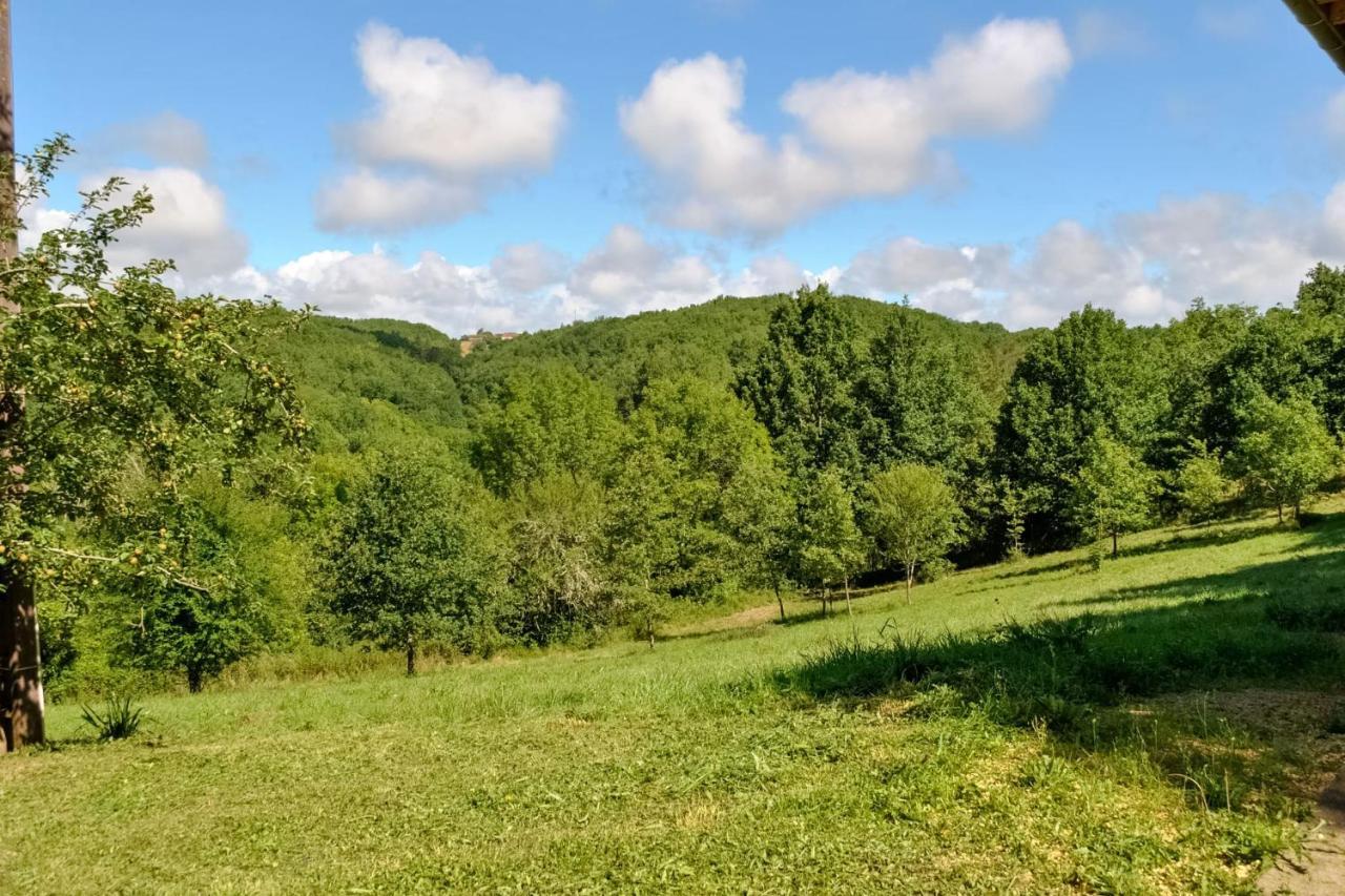 Ancienne Sechoir A Tabac Idealement Place A Limeuil Pour 4 Dans La Nature Exteriör bild